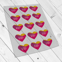 Load image into Gallery viewer, Matt clear vinyl kiss cut sticker sheet